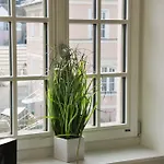 Luxus-apartment In Historischer Villa, Balkon & Lift, Naehe Therme *