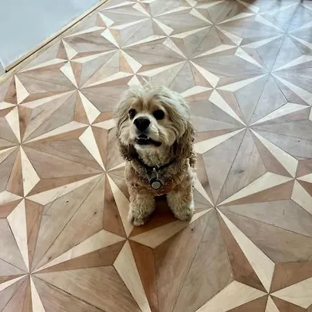 Mit Balkon, Lift, Luxus -beletage