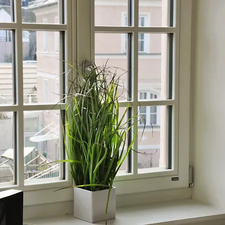 Luxus-apartment In Historischer Villa, Balkon & Lift, Naehe Therme *