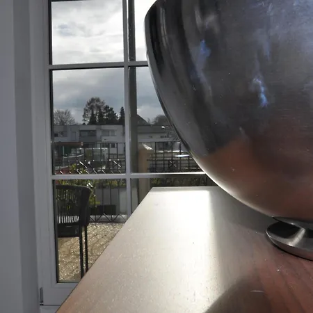Luxus-apartment In Historischer Villa, Balkon & Lift, Naehe Therme Bad Hall