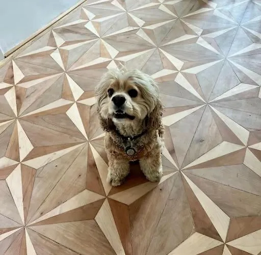 Luxus-apartment In Historischer Villa, Balkon & Lift, Naehe Therme