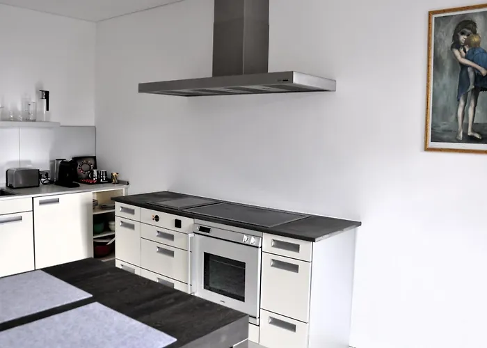 Luxus-apartment In Historischer Villa, Balkon & Lift, Naehe Therme バート・ハル