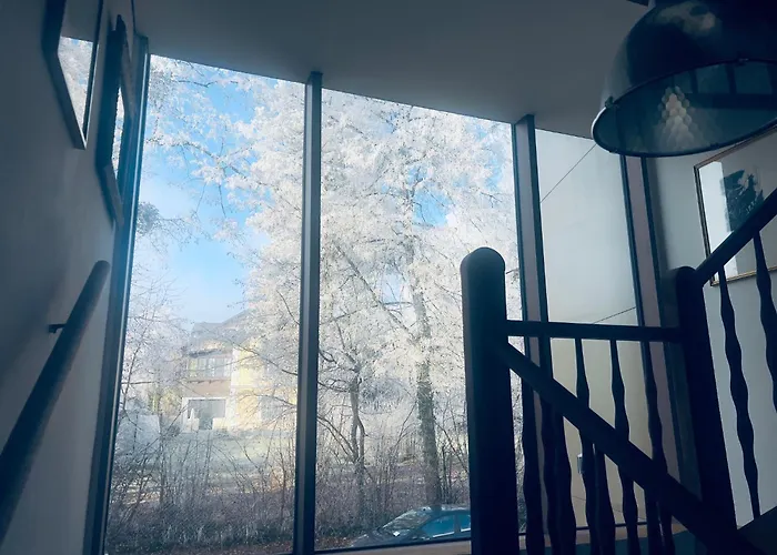 Luxus-apartment In Historischer Villa, Balkon & Lift, Naehe Therme Bad Hall